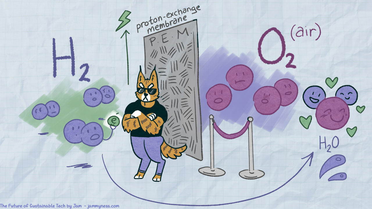 Illustration representing a hydrogen fuel cell's membrane as a bouncer that separates hydrogen and oxygen.