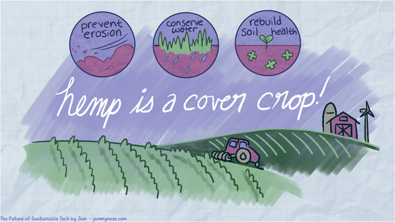 Illustration representing the fact that hemp is a cover crop.