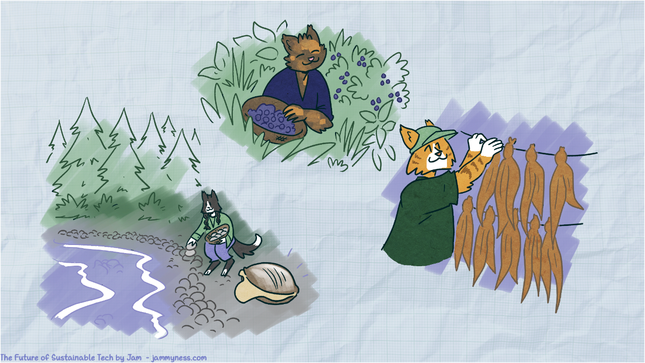 Illustration representing different types of regernative agriculture common in indigenous communities, including clam gardens, kelp harvesting and food forests.