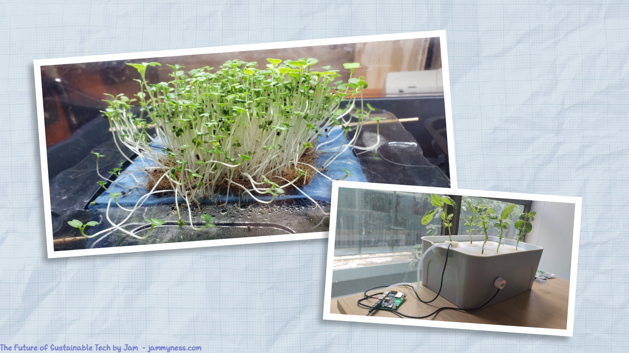 Photos of miniature hydroponic gardens that anyone can make!.